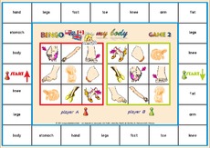 Bingo-2 body _2.pdf